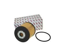 Filtro carburante Cartuccia filtro 180012610 AUTOMEGA per CITROËN PEUGEOT FORD