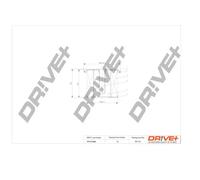 Filtro carburante Cartuccia filtro DP1110.13.0028 Drve+ per CITROËN PEUGEOT FSO