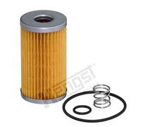 Hengst & Co Filtro carburante E77KP D723