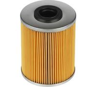 Filtro carburante DELPHI HDF513