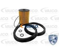 Filtro carburante Cartuccia filtro V20-0717 VAICO per MINI MINI MINI Cabriolet