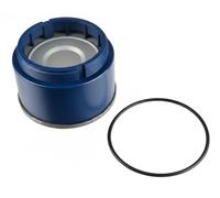 BLUE PRINT Filtro carburante per CHRYSLER ADA102306