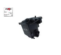 AUTOMEGA 180013710 Filtro carburante per CITROËN,FIAT,FORD,MAZDA,MINI,PEUGEOT,SA