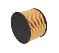 Filtro carburante HENGST E79KP D118 per FORD KUGA I 2 2008-2012