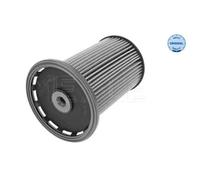 Meyle Filtro carburante 100 323 0020 per VW Touareg 7P5/7P6, Porsche Cayenne 92A