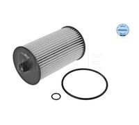 Filtro Carburante Meyle 1003230028 Meyle-original: True To Oe. per VW