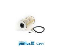 Filtro carburante PURFLUX C491 compatibile con AC GENERAL MOTORS NISSAN RENAULT