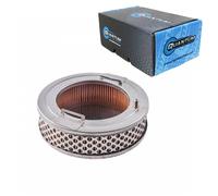 Filtro Carburante QFS Per Polaris Genesis MSX Virage Freedom 1999-2004 #2410129