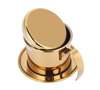 Filtro da caffè vietnamita, Filtro antigoccia per caffè in acciaio inossidabile, vietnamita Caffettiera Pressa per il caffè Colino da caffè, Portatile Regalo per baristi e amanti del caffè(Gold)