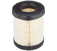 Filtro dell’aria originale 591583 Briggs & Stratton