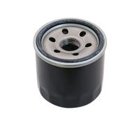 Filtro Dell 'ol Io Adatto A per Stiga Estate 598 W Trattore