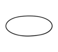 Filtro della Piscina O Anello, Resistenza all'abrasione 39010200 Serbatoio Cerbe O Anello per CCP 520 420 320 Filtro