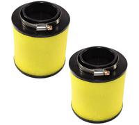 Filtro Dell'Aria 2-Pack Per Honda Sportrax TRX250X TRX250EX ATV; 17254-HM8-000