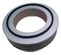 Filtro dell'aria 4E0301.0 Compressore d'aria a vite
