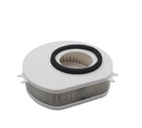 Filtro dell'aria compatibile con V-1100 XVS1100 XVS1100A XVS1100AT XVS1100AW 5EL-14451-00