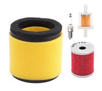 Filtro dell'aria del motore Filtro aria per moto olio Candele carburante Carburatore Per Arctic Per Cat 250 300(4 Pcs)