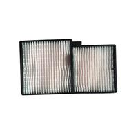 Filtro Dell'aria for Proiettore ELPAF29 ELPAF35, Compatibile Con Epson, EB-1840W-1850W-1860 V13H134A35-1870-1880, Semplice Da Configurare Filtro Antipolvere Di Ricambio for Proiettore