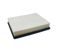 Filtro dell'aria for Segway Fugleman Villain UTV Sistema di filtraggio dell'aria Codice ricambio S03-A207B00-000-02 Parti di ricambio