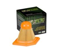 Filtro Dell'Aria HIFLOFILTRO-HFA7917 Per Moto Ricambi Accessori Parti
