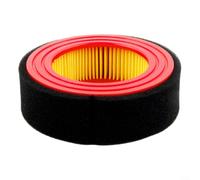 Filtro dell'aria per CADET, Troy, BOLENS adatto per tosaerba specifici a piedi, compresi i modelli di motore 5T65VUA, 1T65NUB