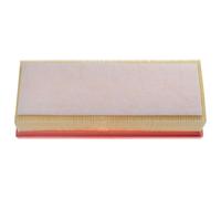 Filtro dell'aria per IAP Quality Parts 121-50040