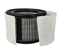 Filtro dell'aria per Leifheit / Soehnle Airfresh Clean 300 400