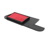 Filtro dell'aria per maxiscooter adattabile a Honda 250 Foresight 1998+2005 - Pi