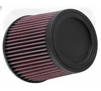 Filtro dell'aria sportivo RU-4950 K&N Filters