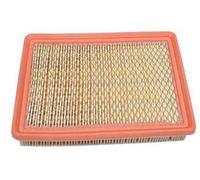 Filtro Dell'Aria Terrazza 2005-2007 CADILLAC DEVILLE / SEVILLE 4.6 1998-2005