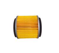 Filtro dell'olio adatto for CFMoto CF500 400 500cc Cforce Zforce 800cc CF800 X8 ATV UTV-