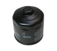 Filtro dell'olio per Polo 9N