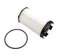Filtro Dell'olio Per S5 Per S6 Per S8 Per Q7 Per A6 Per A8 QUATTRO 4.2L Per Touareg Per 079 198 405 E 6/3/1 Set Filtro Olio Motore Auto(1Pcs)