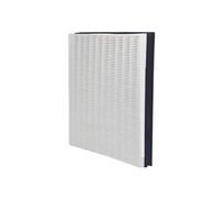 Filtro Di Ricambio, Compatibile Con Samsung, Purificatore D'aria AX40R3030WM AX34R3020WW, Modello Di Filtro Compatibile: CFX-G100/GB Accessori For Filtro Composito Al Carbonio HEPA