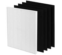 Filtro di ricambio D3 adatto per filtro purificatore d'aria Winix D360