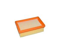 Filtro Di Ricambio For Aspirapolvere, Filtro Pieghettato Piatto, Compatibile Con KARCHER, Pezzi Di Ricambio For Aspirapolvere MV4 MV5 MV6 WD4 WD5 WD6(1PCS)