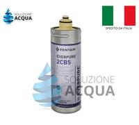FILTRO EVERPURE 2CB5 EV961705 CARTUCCIA ANTIMICROBICA DEPURATORE ACQUA