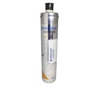 Filtro Everpure 4C2 antimicrobico 0,2 micron
