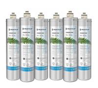 Filtro Everpure H104 EV9612-16 Set 6 Pz.