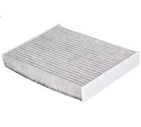 Filtro, filtro abitacolo BOSCH 0 986 628 589 per DOKKER Pick-up 1.2 2018-2021