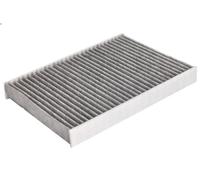 Filtro, filtro abitacolo HERTH+BUSS JAKOPARTS J1342060 per LX (_J3_) 3.5 2021-