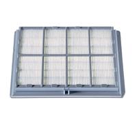 Filtro HEPA Bosch BBZ8SF1