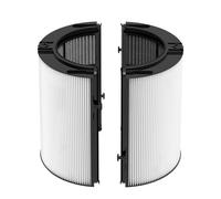 Filtro HEPA di ricambio compatibile con Dyson TP06 HP06 TP04 TP07 HP07 HP09 TP09 TP08 HP10 TP10 PH01 PH02 PH03 PH04 Purificatore d'aria Rich