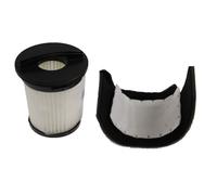 Filtro Hepa e Filtri Spugna per JetForce 2748, 2791