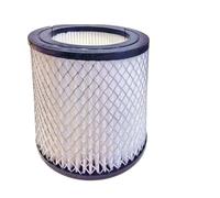 FILTRO HEPA FIREPROOF PER ASPIRACENERE ELETTRICO MM 130 x 115 RICELSUD.IT
