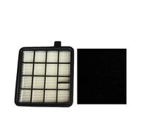 Filtro HEPA for aspirapolvere compatibile con Electrolux ZMO1520 ZMO1521 PET ZMO1540 ZMO1560 Parti for aspirapolvere Sostituzione del filtro