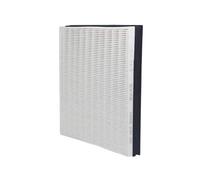 Filtro HEPA for purificatore d'aria for Samsung AX34 AX40 AX40R3030WM CFX-G100/GB CFX-G100D AX34R3020WW Parti di ricambio 289 mm*318 mm*58 mm Lodevole