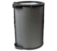 Filtro HEPA sostituisce Electrolux EFDCLN4, CLEAN360