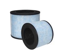 Filtro HEPA Sostitutivo AP100, Compatibile Con Instant, Purificatore D'aria AP100 Parte F100, Filtro A Carbone Attivo A 4 Stadi H13(2pcs)