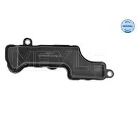 Filtro idraulico cambio Filtro in aspirazione 100 136 1009 MEYLE per AUDI A6 C7