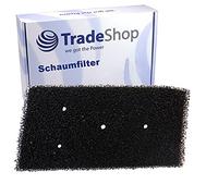 Filtro in schiuma/filtro antipolvere per Bauknecht TRKA-HP 9781 TRKA Excellence 4590 TK EcoStar 7A++, TK ECoStar 8A++ TK EVO 74A++, TK EVO 84A+